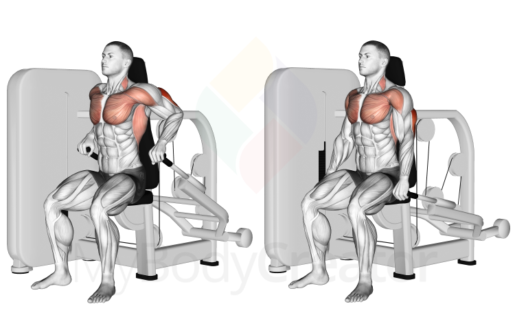 Трицепсово разгъване на машина от седеж