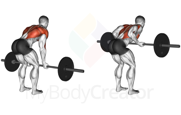 Barbell Underhand Bent-over Row