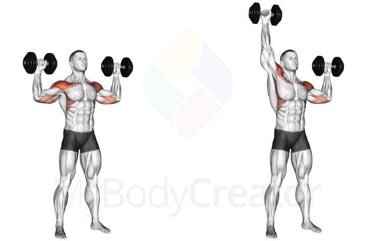 Dumbbell Alternate Shoulder Press