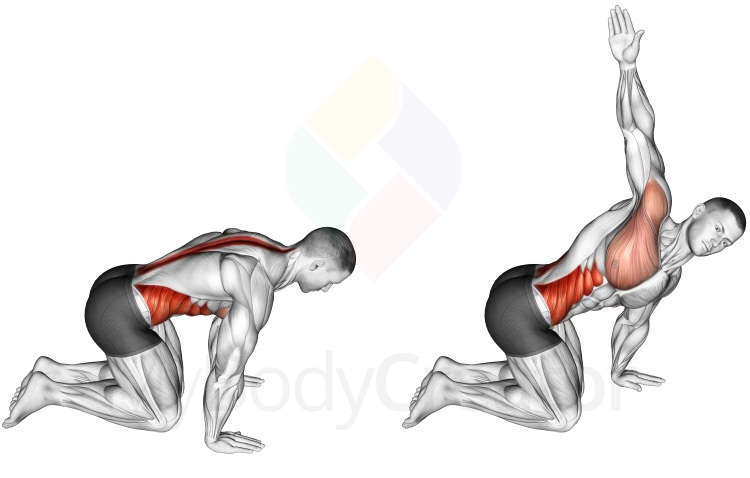 Stretching - Kneeling Back Rotation Stretch
