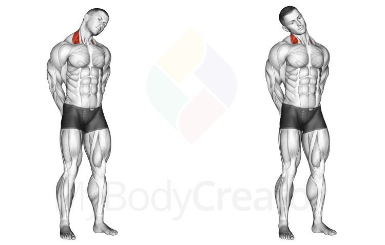 Разтягане - Извъртане на врата в страни от стоеж