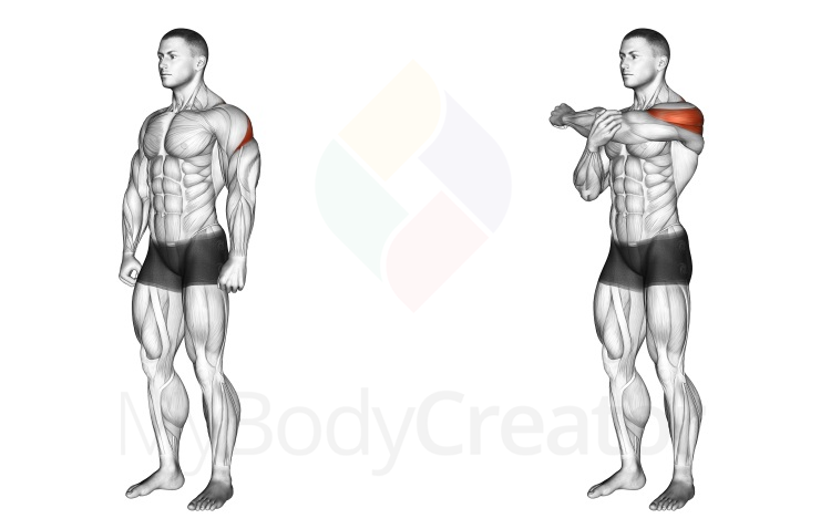 Stretching - Rear Deltoid Stretch