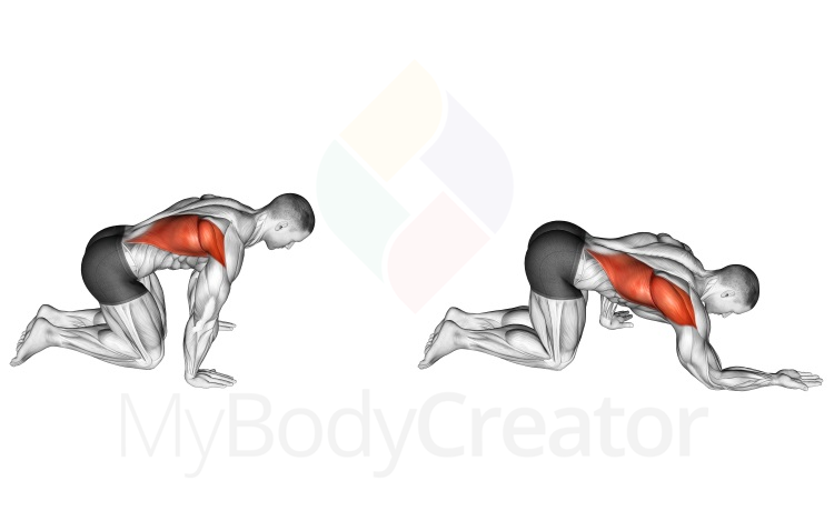 Stretching - Kneeling Lat Stretch