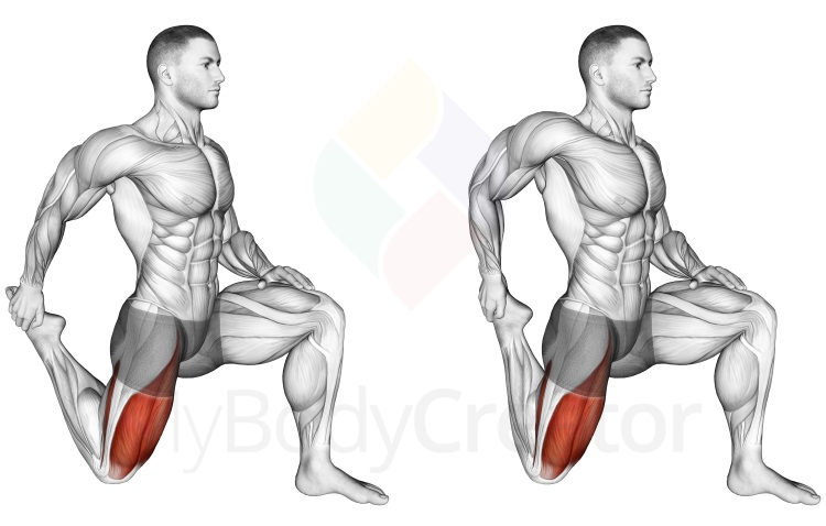 Stretching - Quadriceps stretch