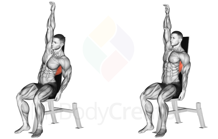 Stretching - Seated Lower Back Stretch