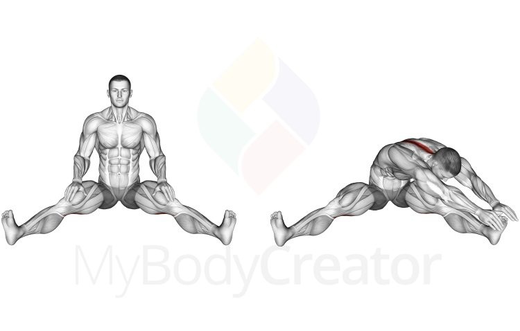 Stretching - Seated Wide Angle Pose Sequence