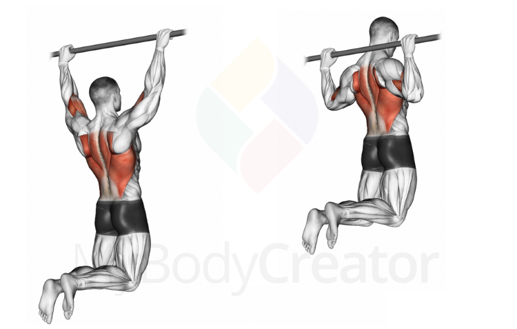 Pull-up (wide back grip)