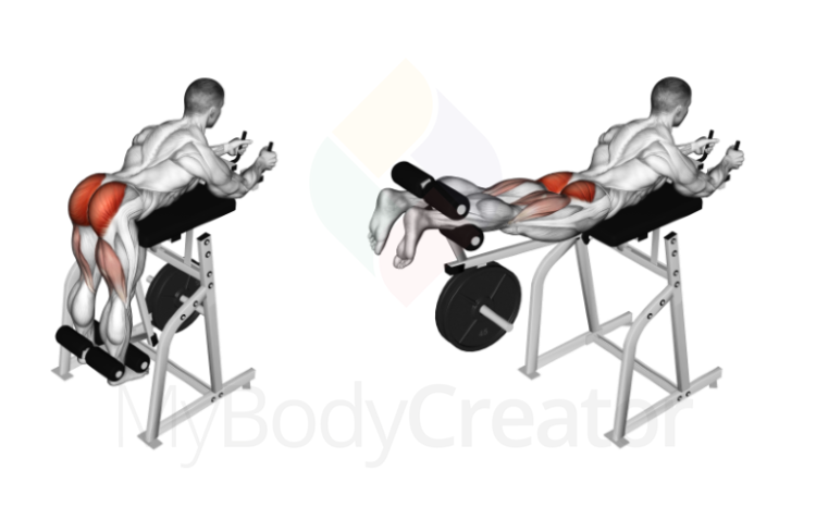 Lever Reverse Hyperextension