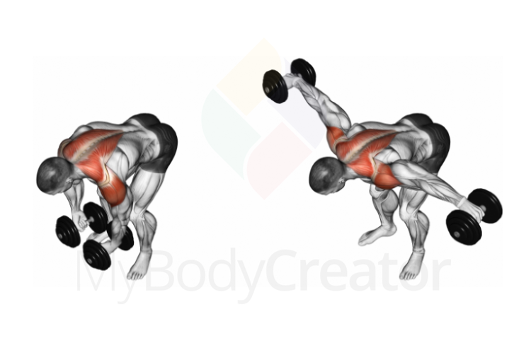 Dumbbell Rear Lateral Raise