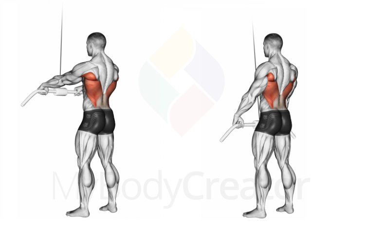 Cable Straight Arm Pulldown