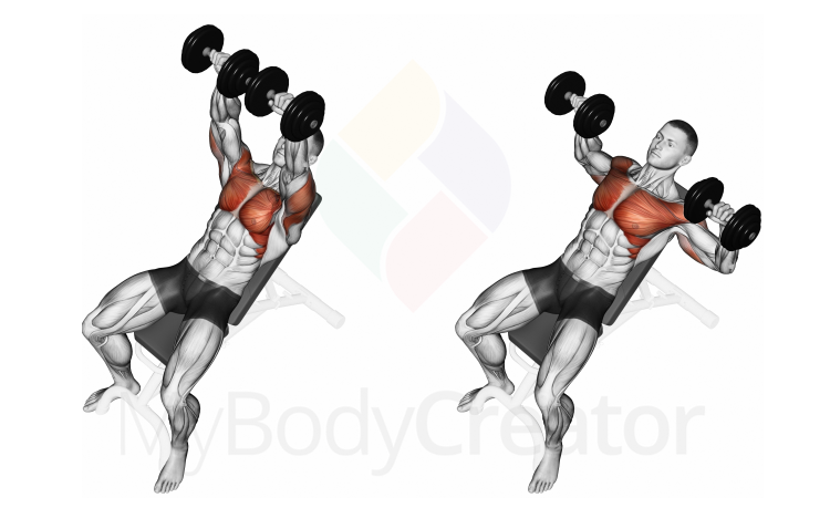 Dumbbell Incline Bench Press