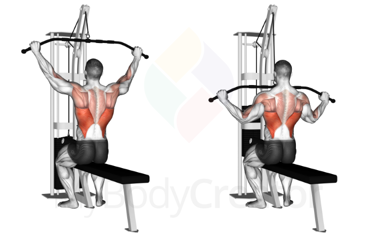 Cable Pulldown