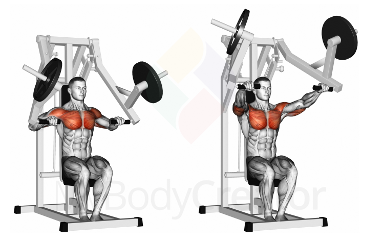 Lever Chest Press