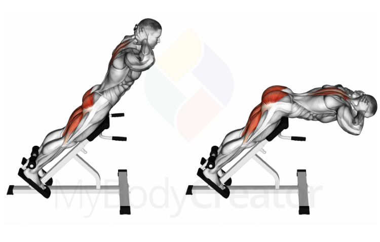 45 Degree Hyperextension