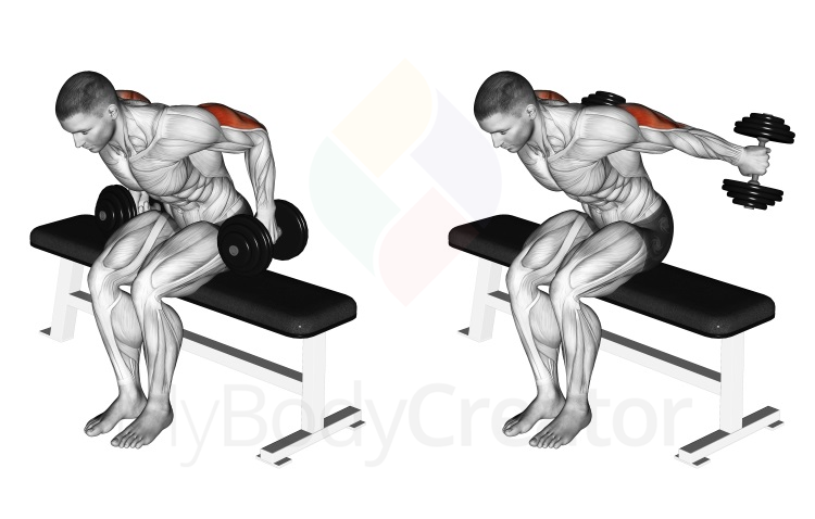 Dumbbell Seated Kickback