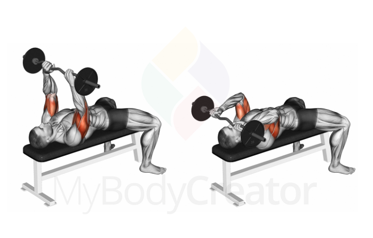 EZ Barbell Lying Triceps Extension