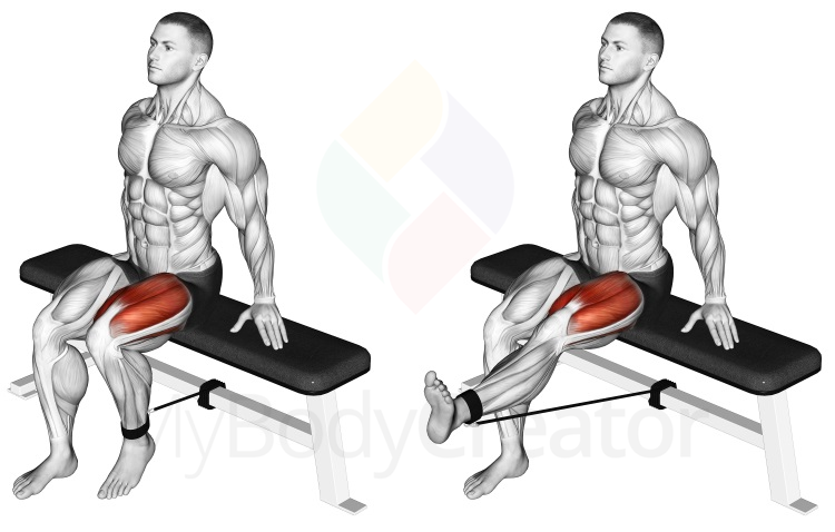 Band Seated Leg Extension