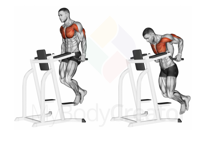 Chest Dips