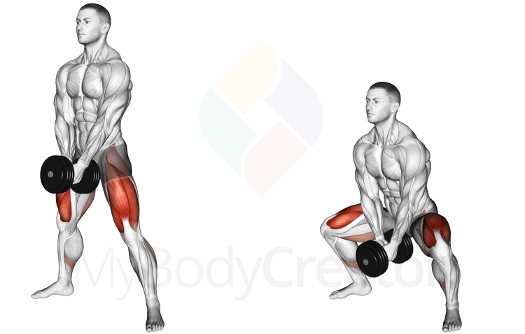 Dumbbell Bar Grip Sumo Squat, Home Exercises