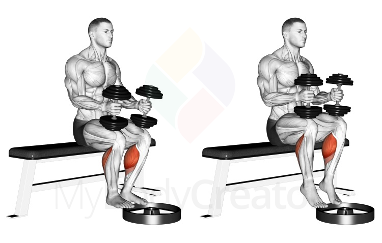 Dumbbell Seated Calf Raise