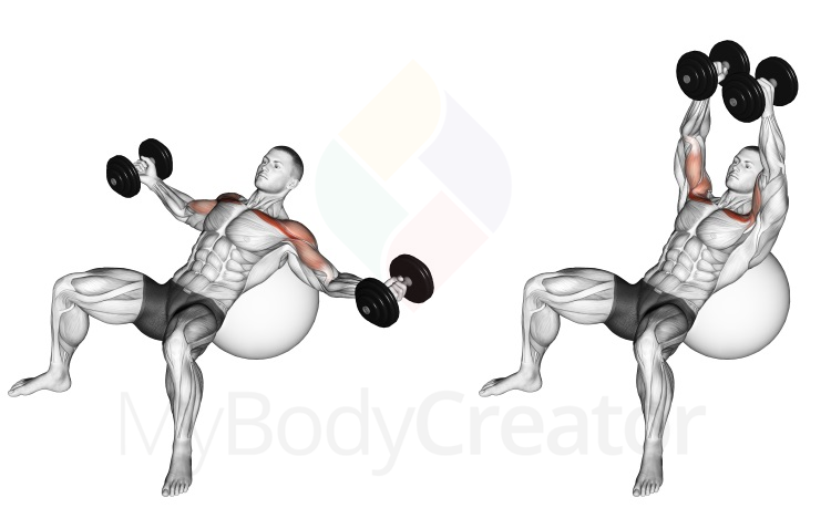 Dumbbell Incline Fly On Exercise Ball