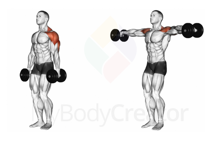 Dumbbell Lateral Raise