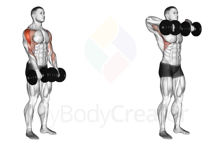 Dumbbell Upright Row