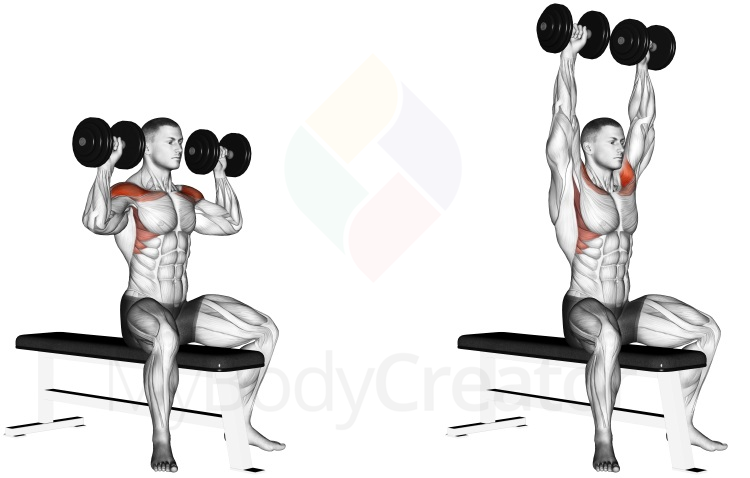 Dumbbell Bench Seated Press