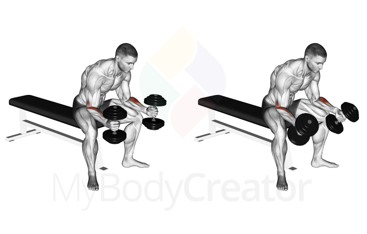 Dumbbell Seated Neutral Wrist Curl