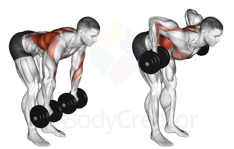 Dumbbell Palm Rotational Bent Over Row