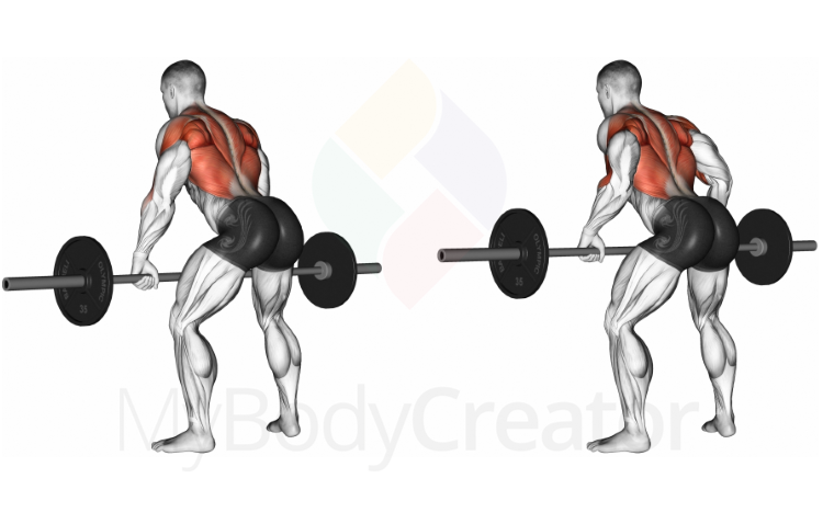 Barbell Bent-over Row Overgrip