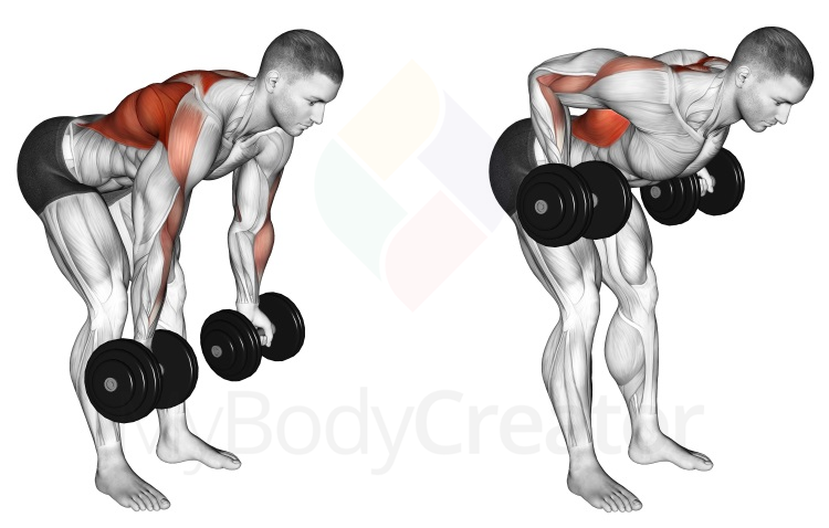 Dumbbell Reverse Grip Row