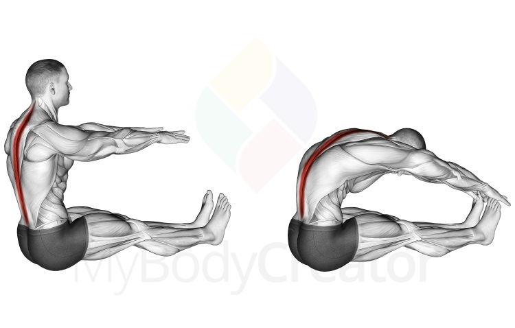 Stretching - Spine Stretch