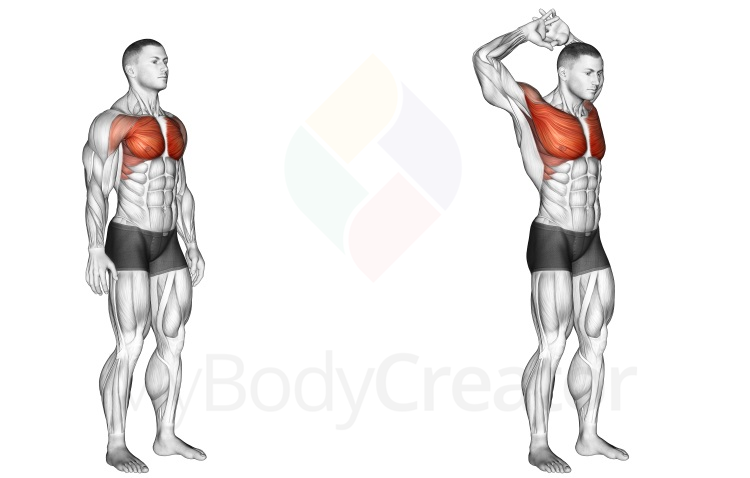 Stretching - Above Head Chest Stretch, Exercises