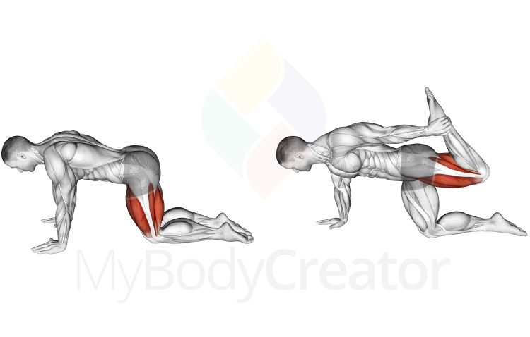 Разтягане - Разтягане на бедра от опора на колене