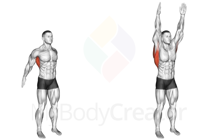 Stretching - Dynamic Back Stretch