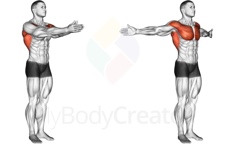 Stretching - Dynamic Chest Stretch, Exercises