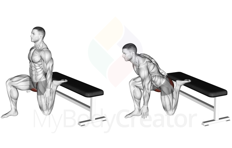 Stretching - Hip Flexor Stretch Rear foot elevated