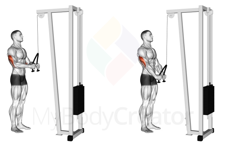 Cable Pushdown (rope attachment)