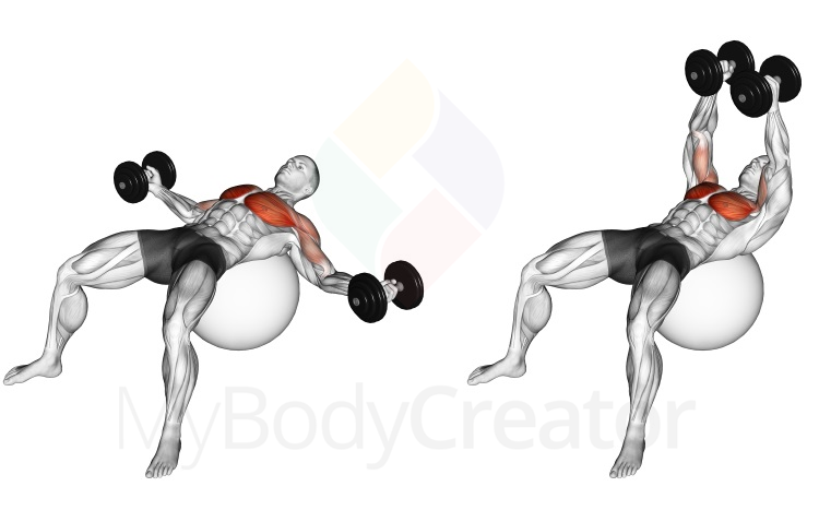 Dumbbell Fly On Exercise Ball