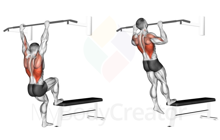 Bench Pull-ups