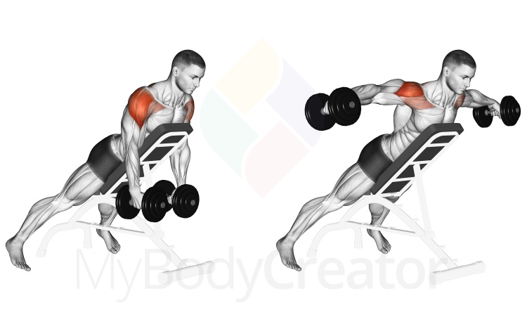 Dumbbell Incline Rear Lateral Raise