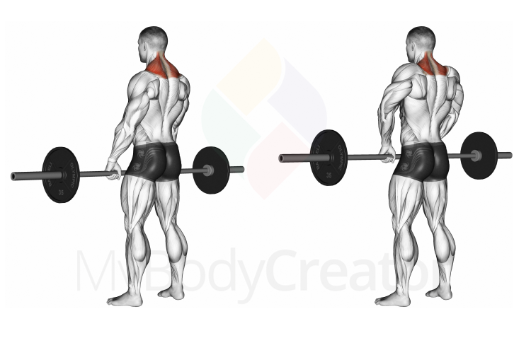 Barbell Shrug