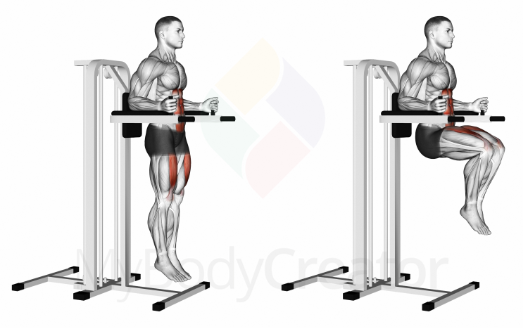 Vertical Leg Raise (on parallel bars)