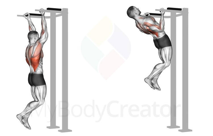 Reverse Grip Pull-up