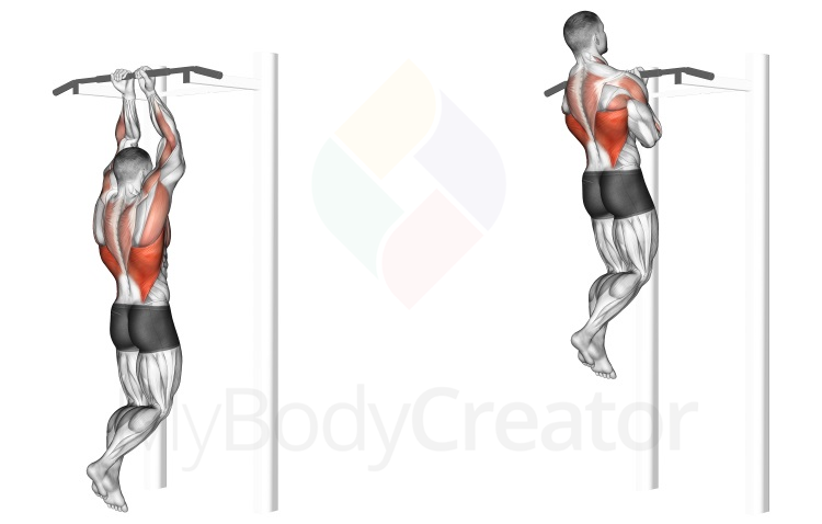 Reverse hand pull ups deals