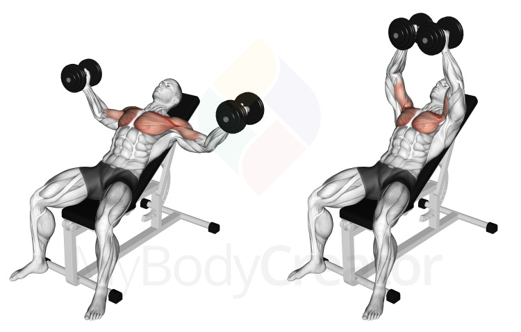 Dumbbell Incline Fly