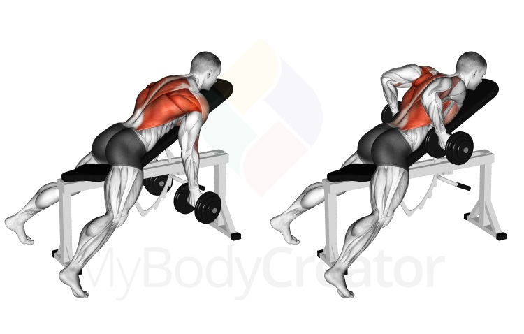 Dumbbell Lying Rear Delt Row