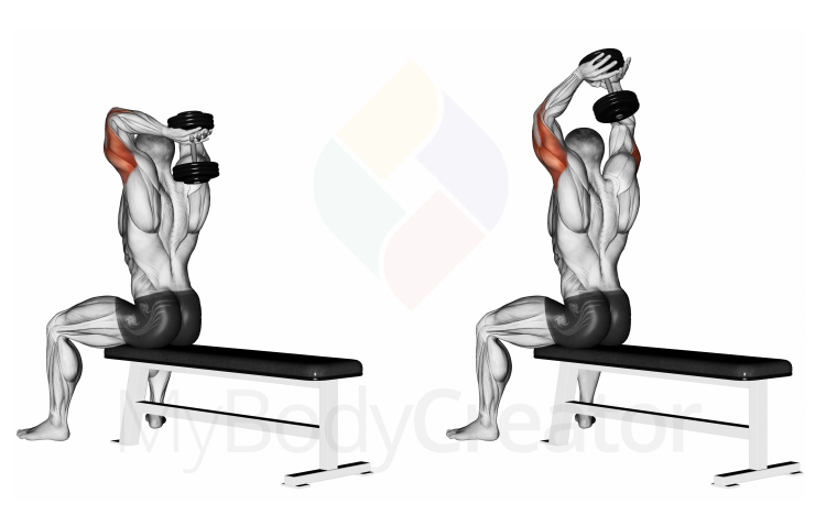 Dumbbell Seated Triceps Extension