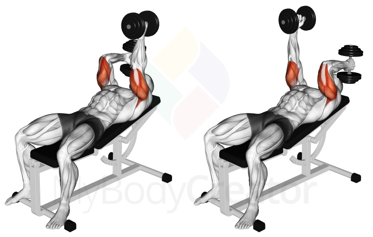 Dumbbell Lying Alternate Extension